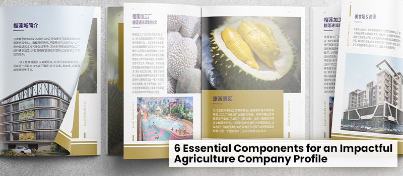 6 Essential Components for an Impactful Agriculture Company Profile