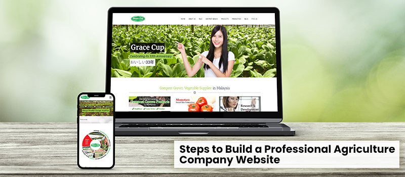 Steps to Build a Professional Agriculture Company Website